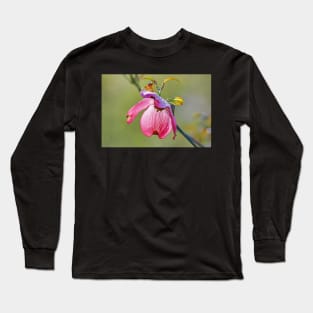 After the Rain Long Sleeve T-Shirt